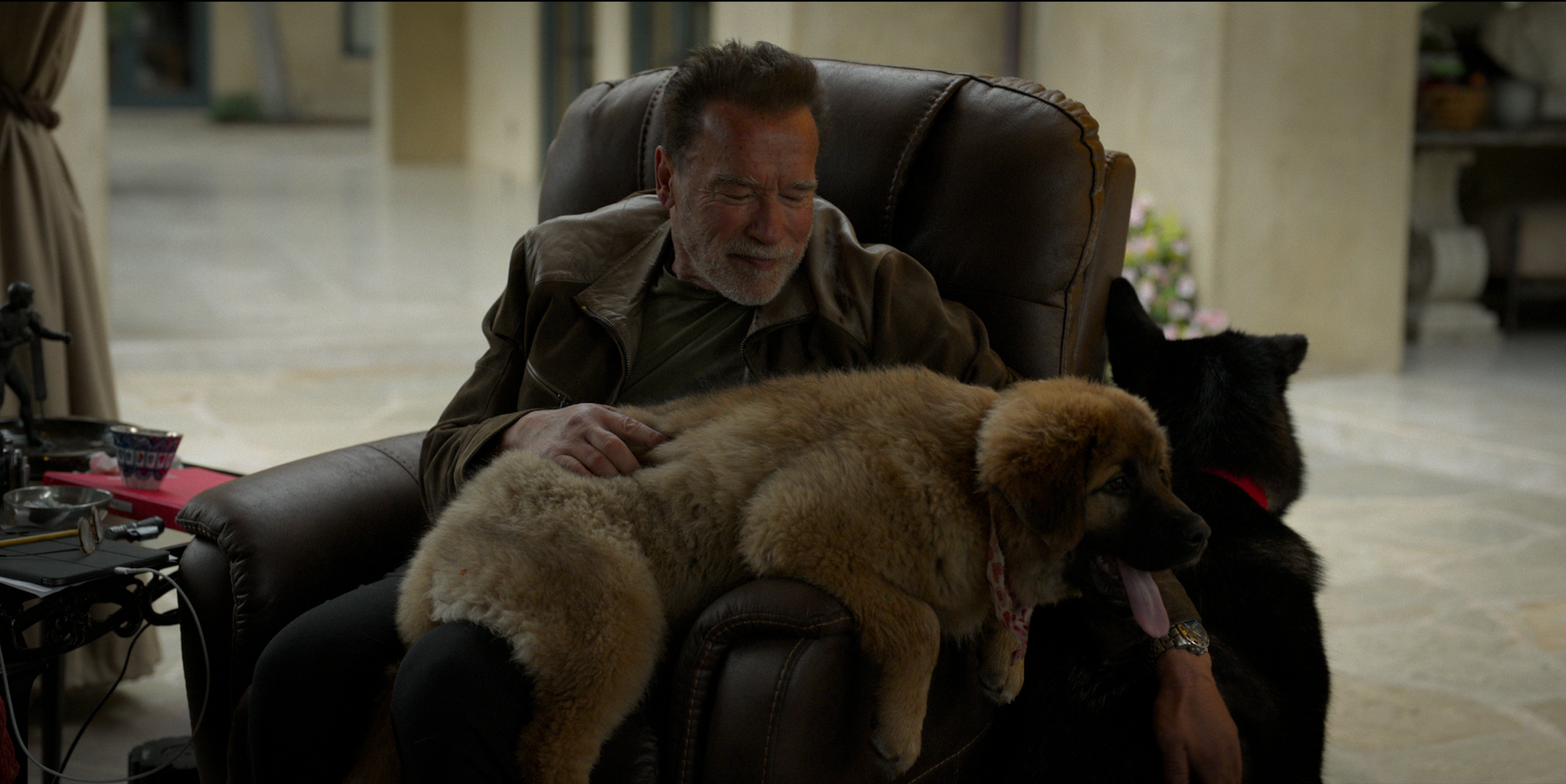 arnold schwarzenegger, dog, netflix docuseries