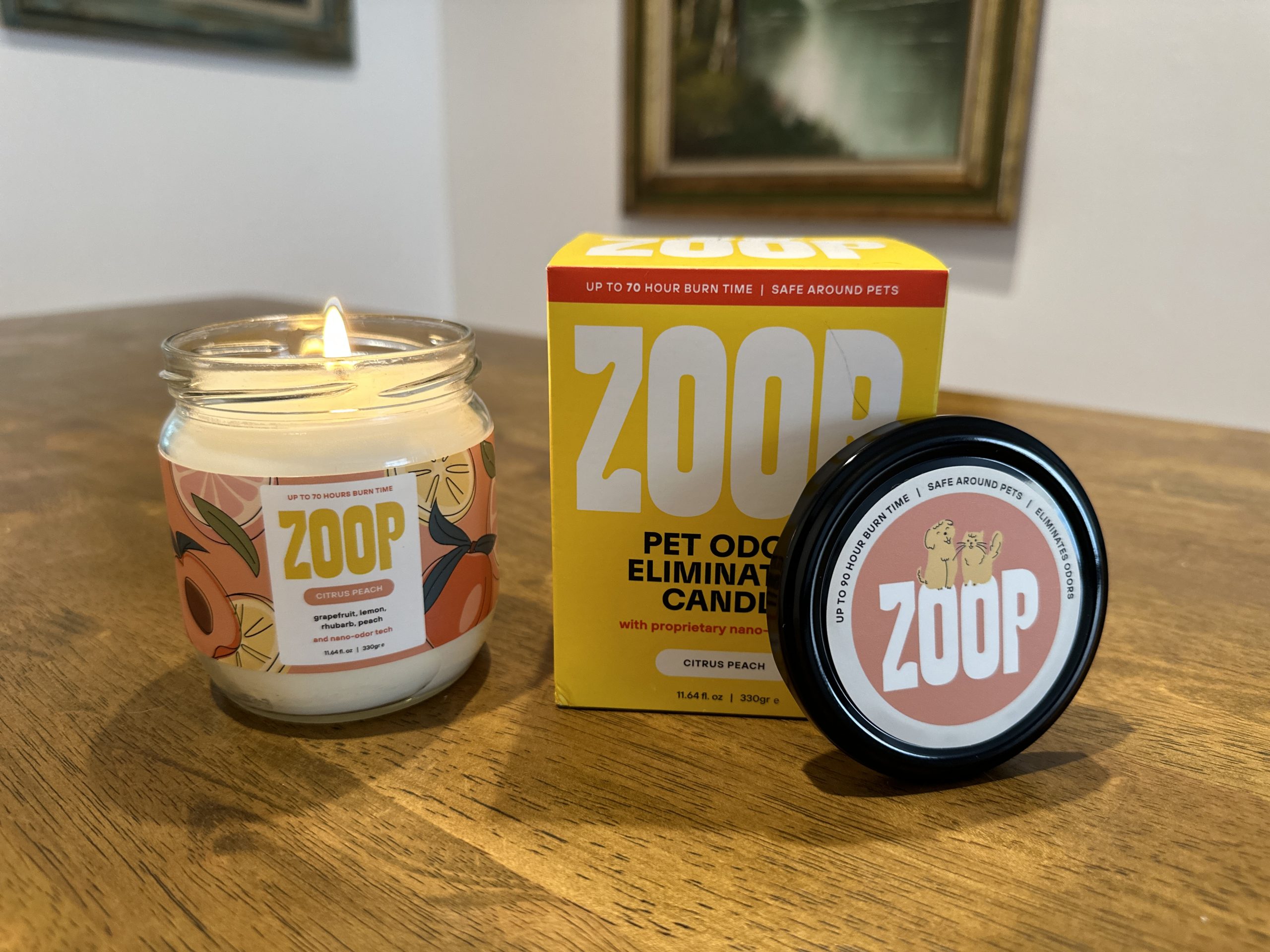 zoop candle, cat odor, cat smell