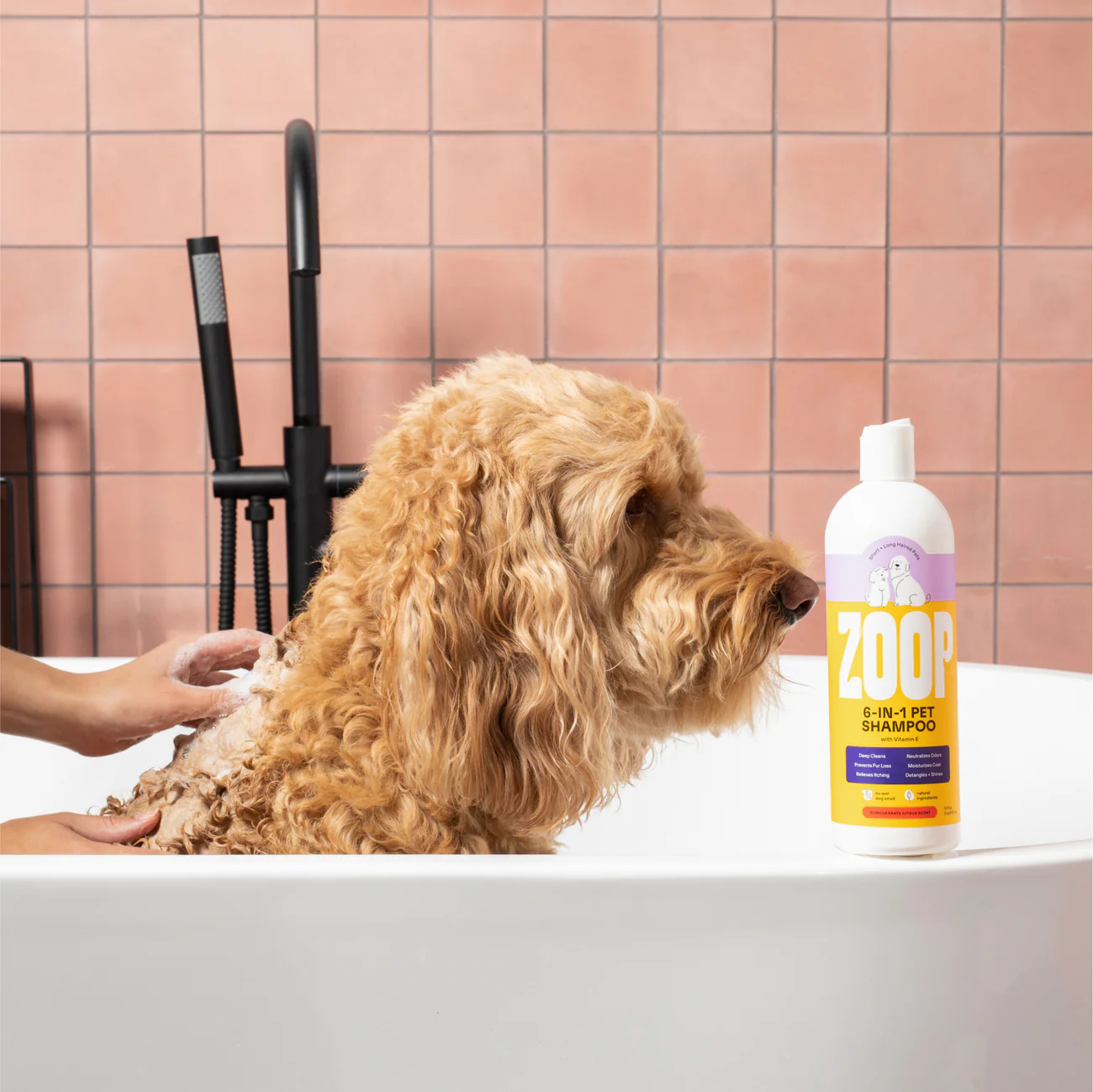 zoop dog shampoo