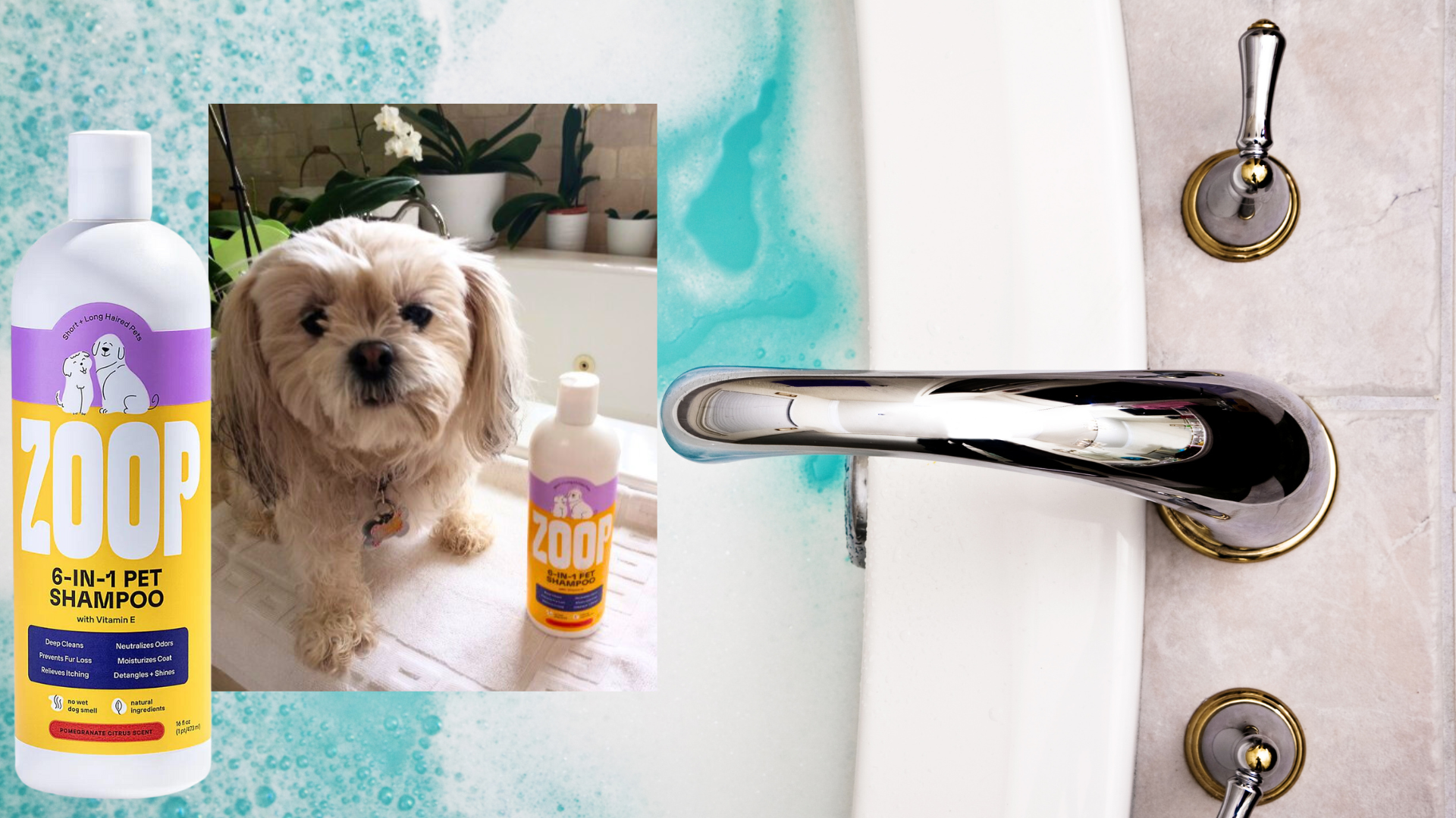 zoop shampoo, pet shampoo, dog shampoo