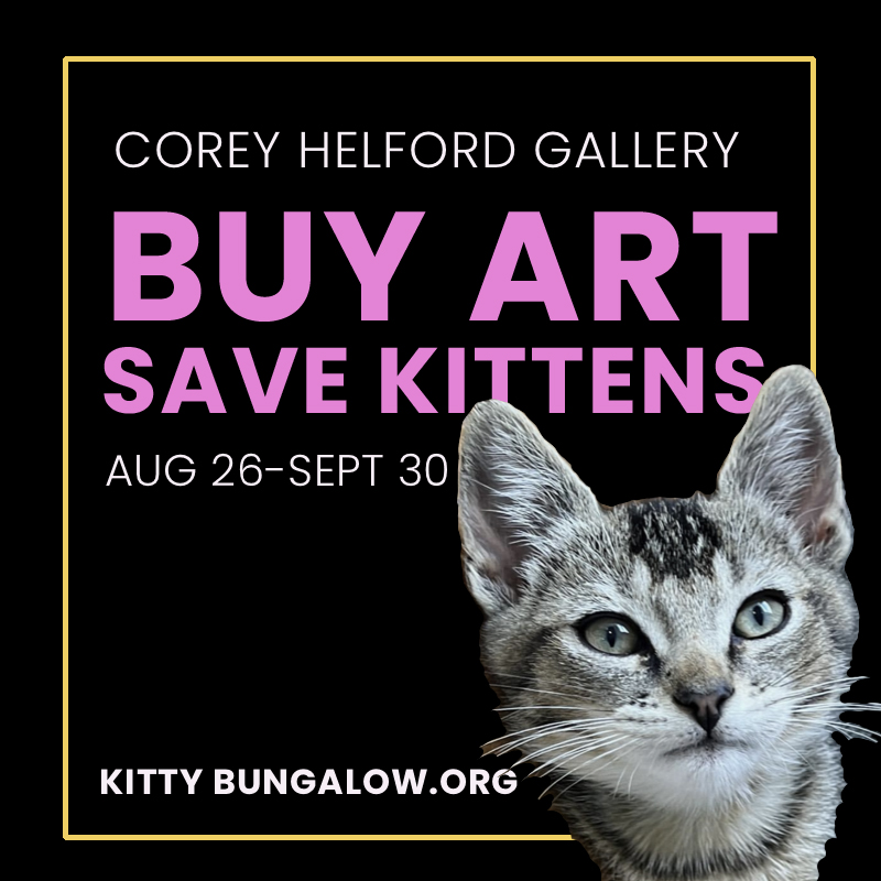 Kitty Bungalow Charm School for Wayward Cats