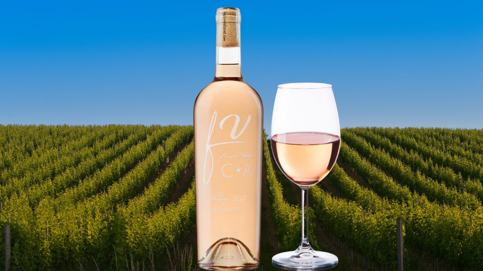 Fresh Vine Wines For National Wine and Cheese Day LATF USA NEWS