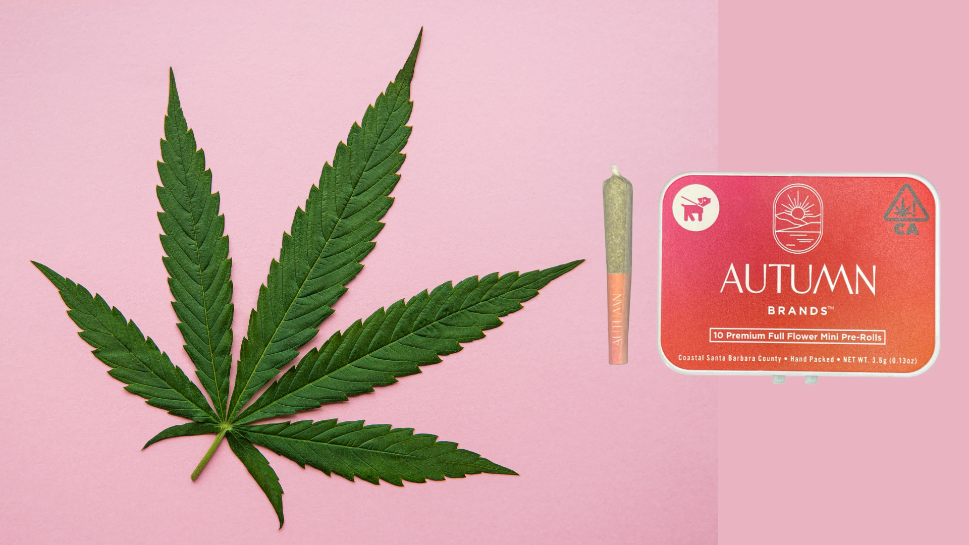 cannabis, weed, autumn brands prerolls