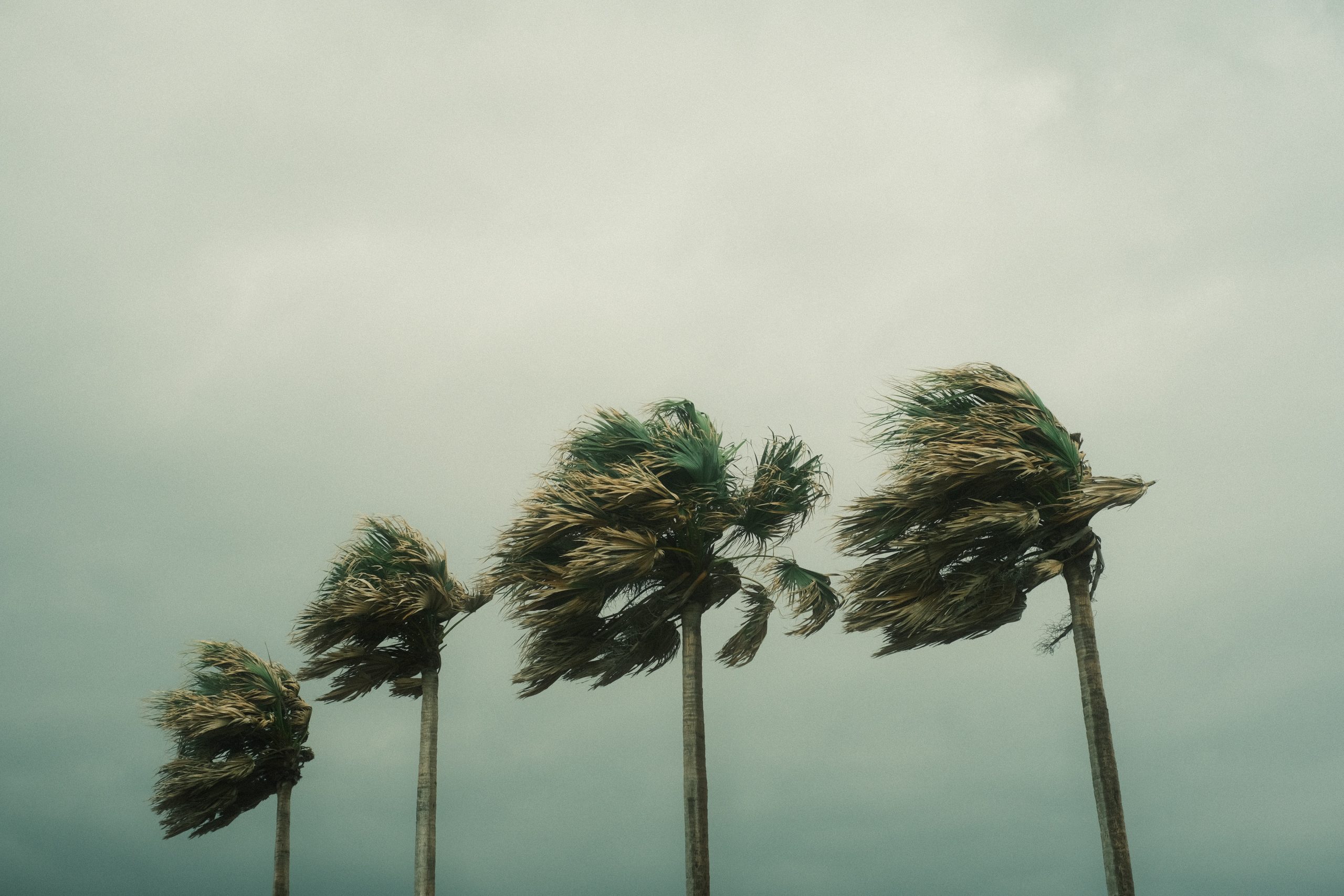 hurricane hilary, los angeles