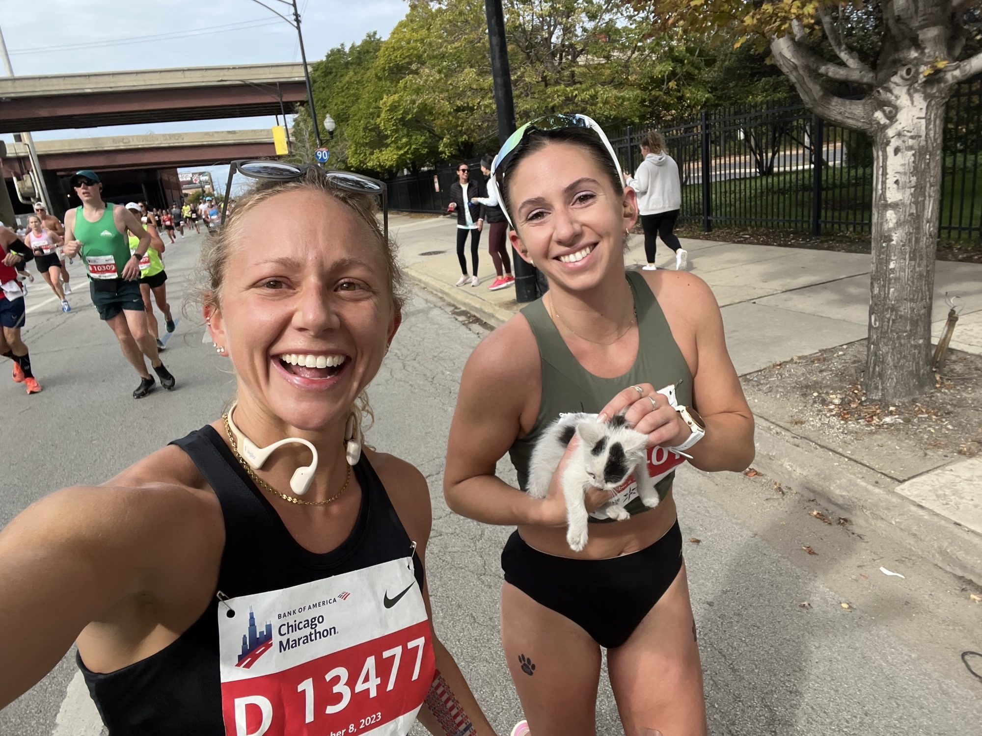 sarah bohan, chicago marathon, team paws