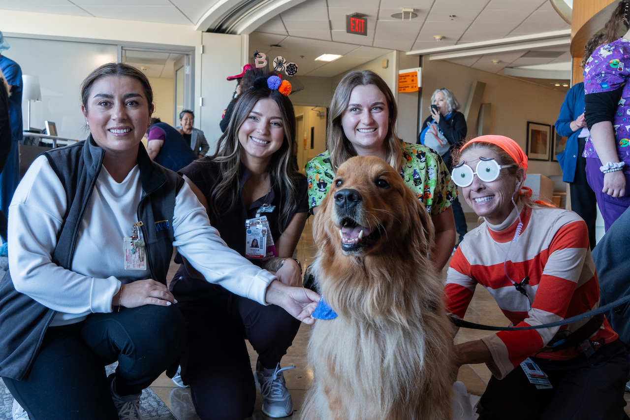 pet adoption