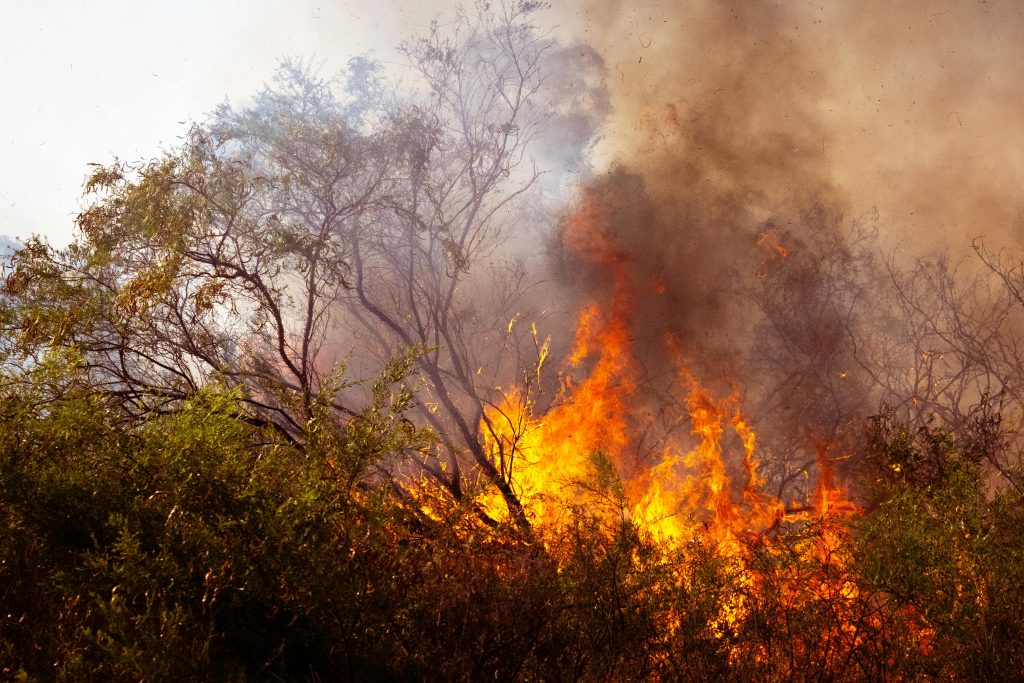 Sandy Fire Update: Ventura County Wildfire Continues to Threaten Communities