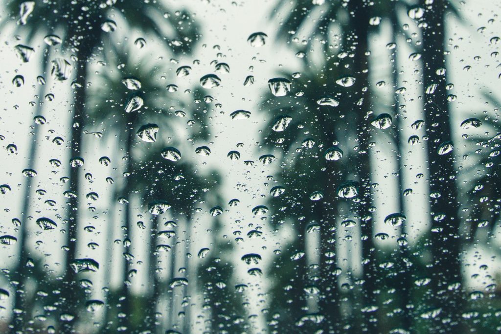 How Angelenos Can Prepare for El Niño: 10 Essential Tips for the Rainy Season