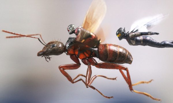 03-antman-wasp-2w710h473
