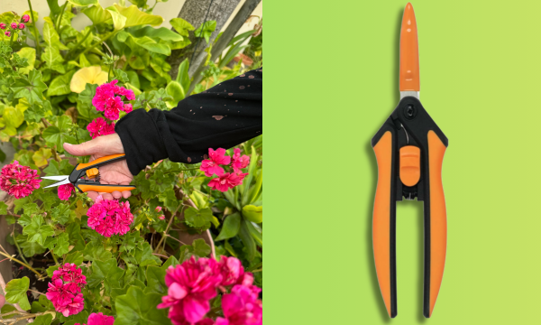 Fiskars Snips