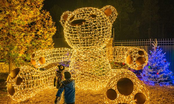 big bear holiday lights winter