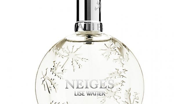 20121221160406Neiges