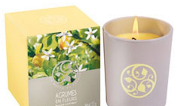 20130116160806Citrus_Candle