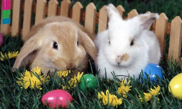 20130329153040Happy_Easter