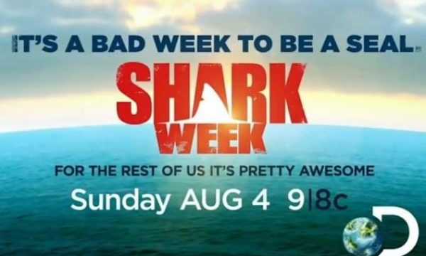 20130709115725shark_week