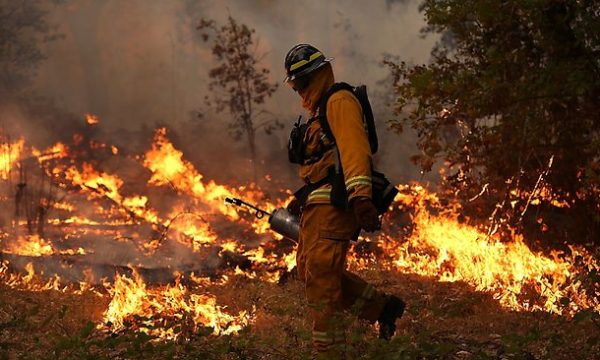 20130825111009Yosemite_Fire