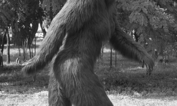 20131019031918Bigfoot