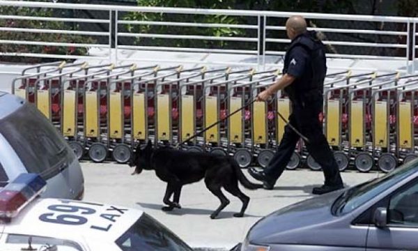 20131101110054los_angeles_airport_shooting