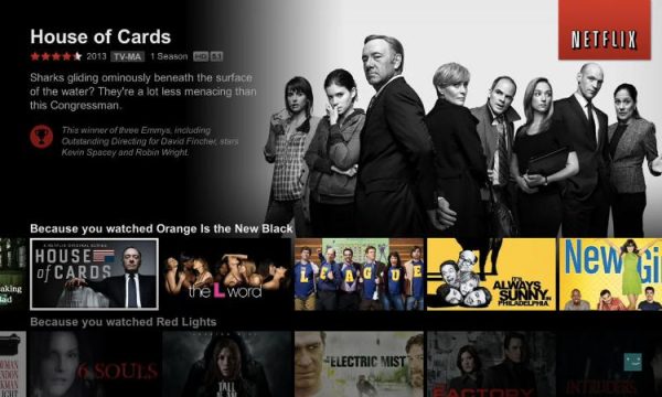 NETFLIX, INC. TELEVISION EXPERIENCE