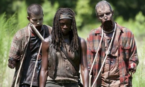 20140210150849The_Walking_Dead