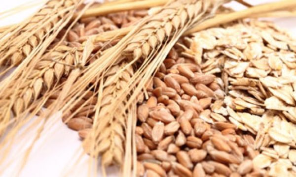 20140317105754Oats_and_Whole_Grain_Health_Facts