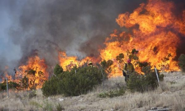 20140430164002Brush_fire
