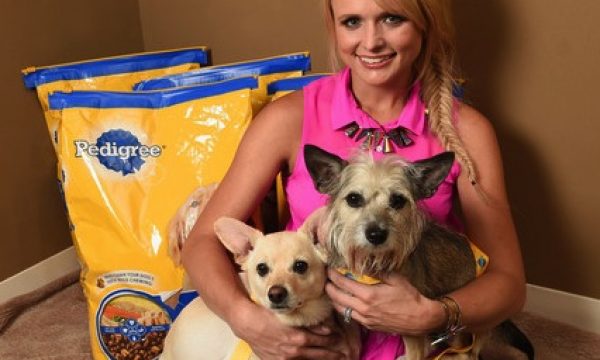 20140627105547Pedigree_Miranda_Lambert