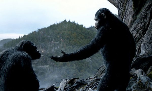 20140710123758Dawn_Of_The_Planet_Of_The_Apes