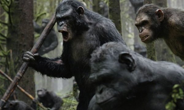 20140720231214box_office_dawn_of_the_planet_of_the_apes