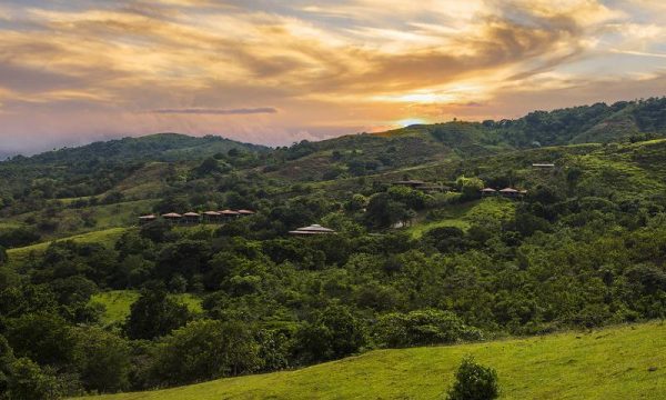 Albert Burney Auctioneers Rancho de Caldera
