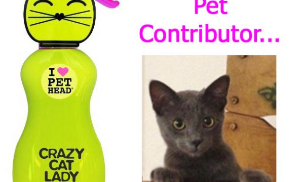 20140827132429Pet_Head_Crazy_Cat_Lady_Litter_Box_Fragrance