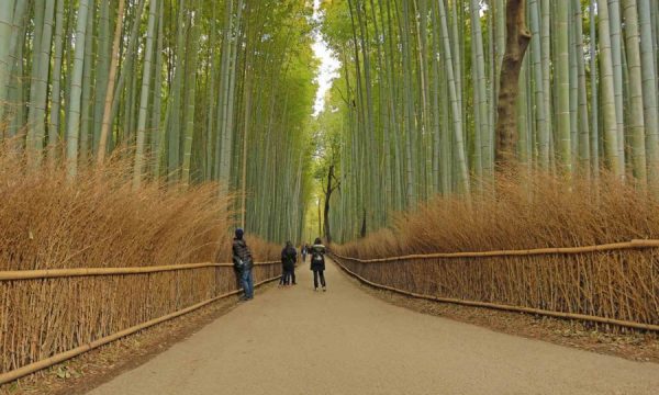 20140909100527The_Travel_Channel_new_series