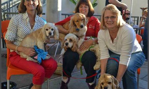 20141009115009Helen_Woodward_Animal_Center_Blue_Buffalo_Home_4_the_holidays