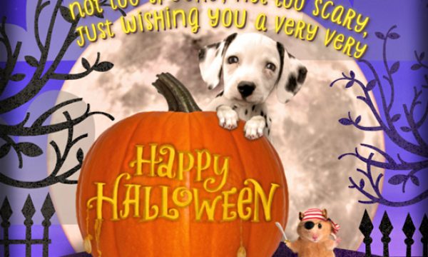 20141012123351American_Greetings_cards
