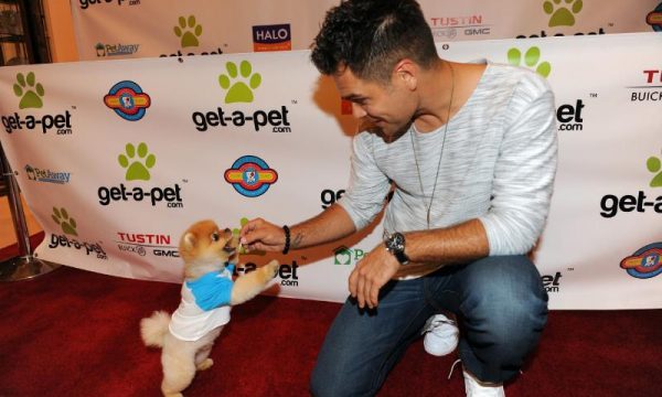 GET-A-PET-com Erik Valdez with Jiff