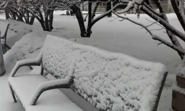 20141119095021Snowfall