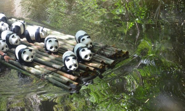 201411272223171600_Pandas