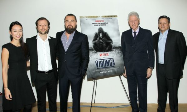 20150201110233Virunga_screening