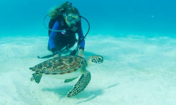 20150302150204Travel_Channel_