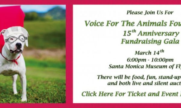 20150311122513Voice_For_The_Animals_Foundation