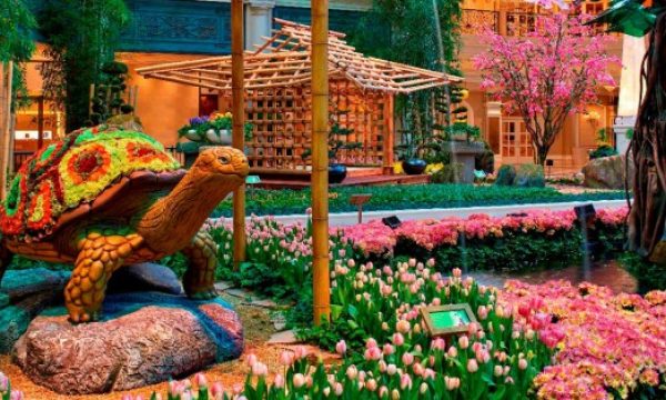 20150328123627Bellagio