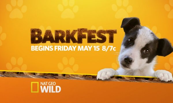 20150513171420Barkfest_NatGeoWild