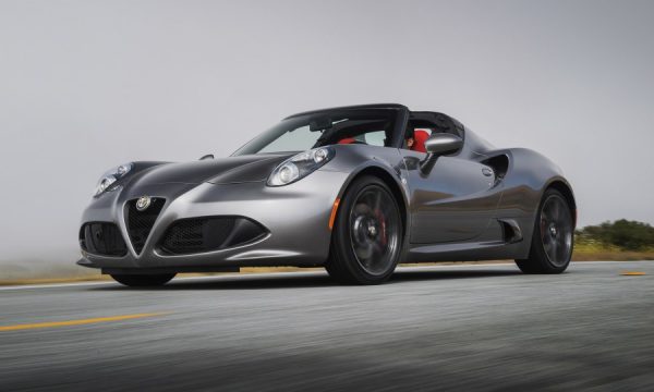 20150613121641Spider