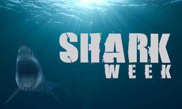 20150706130647Shark_Week