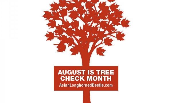 20150731124033August_tree_month