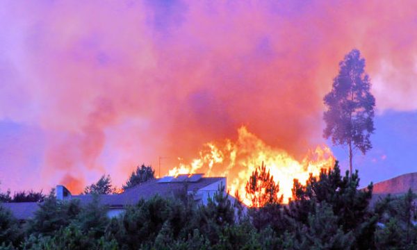 20150803115728fires