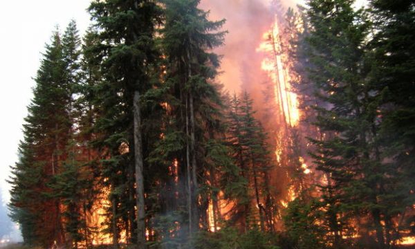 20150914115400fires_california