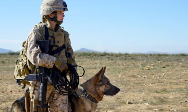 MOVIE REVIEW MEGAN LEAVEY