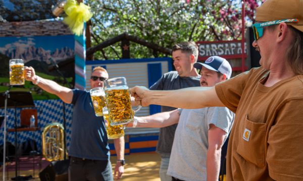 big bear maifest steinholding