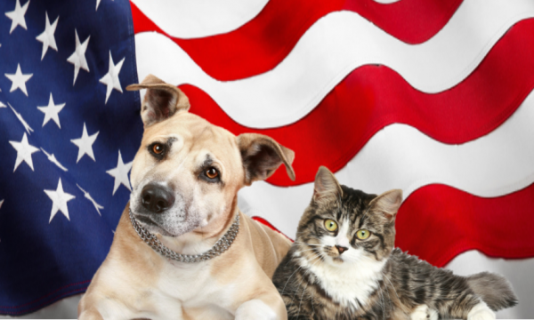 4th-july-tips